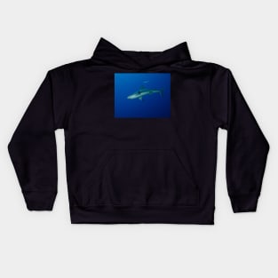 Caribbean Reef Shark Kids Hoodie